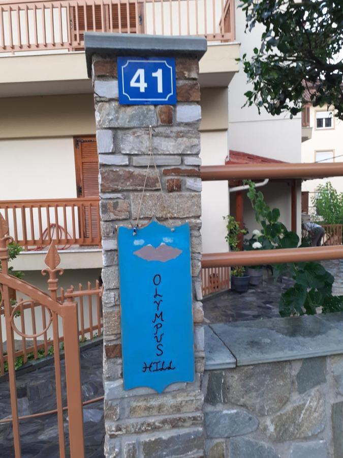 Olympus Hill Apartment Litochoro Exterior photo